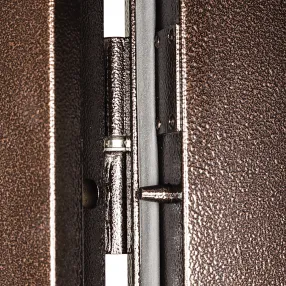 металлическая дверь рондо - 66 850